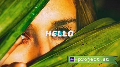 Fast Intro Opener 145518 - After Effects Templates