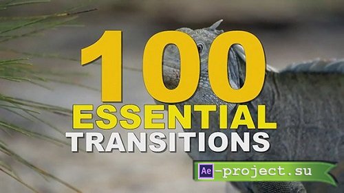 Seamless Transitions / Essential Package 160298 - After Effects Templates