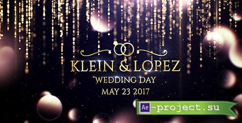 Videohive: Wedding Opener 19773635 - Project for After Effects 