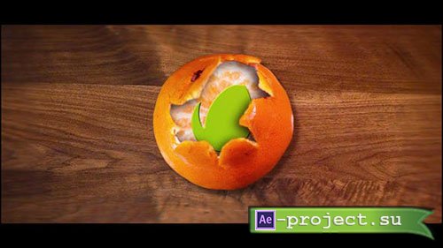 Videohive: Tangerine Logo - Project for After Effects 