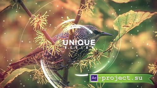 Abstract Slideshow 61158 - After Effects Templates
