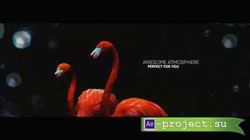 Videohive: The Slideshow 2022701376 - Project for After Effects 