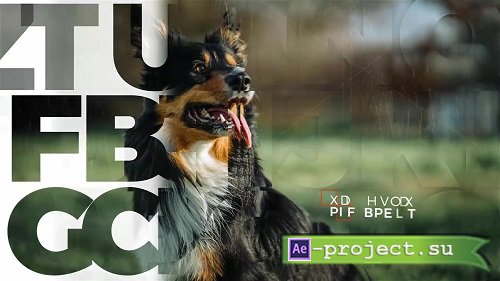 Cinematic Slideshow 188677 - After Effects Templates