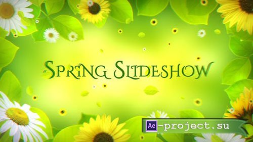 Videohive: Spring Slideshow 21839087 - Project for After Effects 