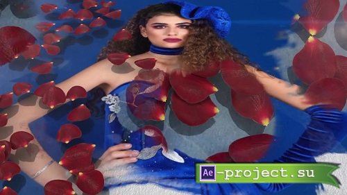 Slideshow Roses - After Effects Templates