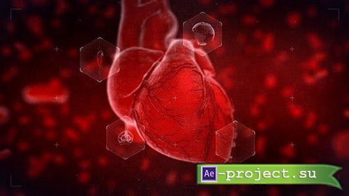 Videohive: Heart Reveal - Project for After Effects 