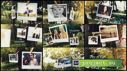 Videohive: Tree of Life Photo Gallery - Project for After Effects 