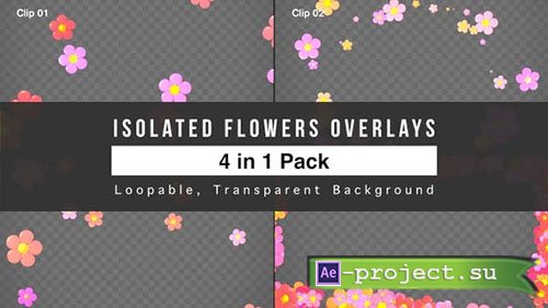 Videohive: Isolated Flowers Overlays Pack - Motion Graphics 