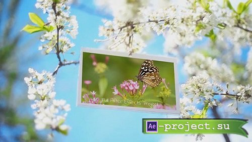 Spring Garden Slideshow 221681 - After Effects Templates