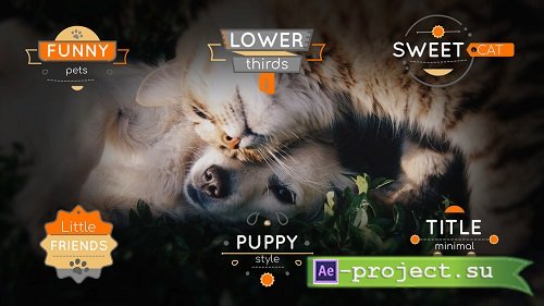 Title Pets 4K 223764 - After Effects Templates