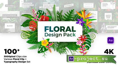 Videohive: Floral Design Pack - Project for After Effects 