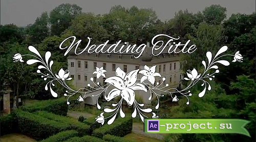 Elegant Wedding Titles 244513 - After Effects Templates