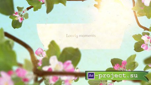 Videohive: Lovely Moments 20175420 - Project for After Effects 