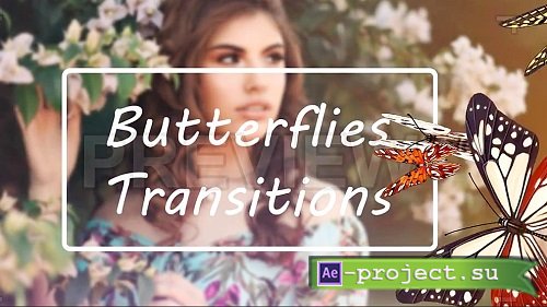 Butterflies Transitions 227558 - Stock Motion Graphics
