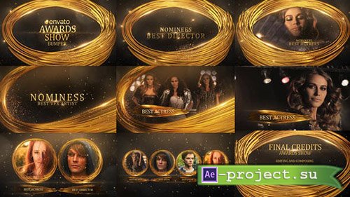 Videohive: Award Ceremony 22740420 - Project for After Effects