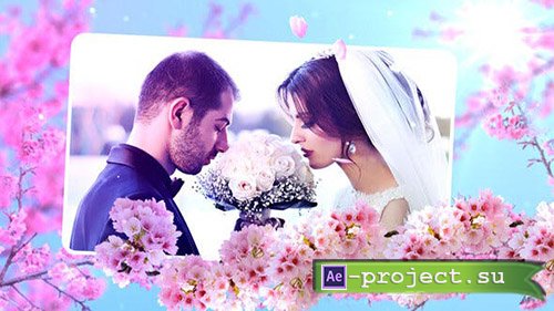 Videohive: Wedding Flowers Slideshow - Project for After Effects 