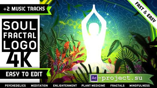 Videohive: Psychedelic Fractals Logo - Project for After Effects 