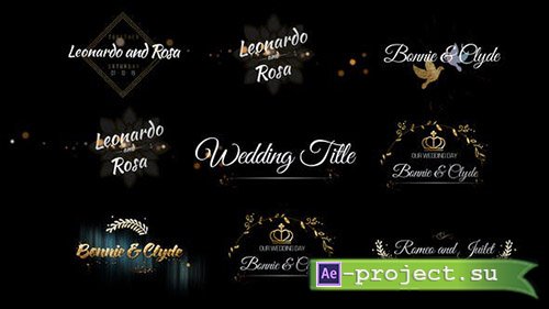 Videohive: Six Beautiful Wedding Title - Project for After Effects