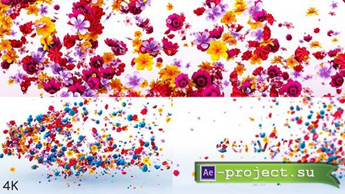 Videohive: Flowers Logo Reveal - Project for After Effects 