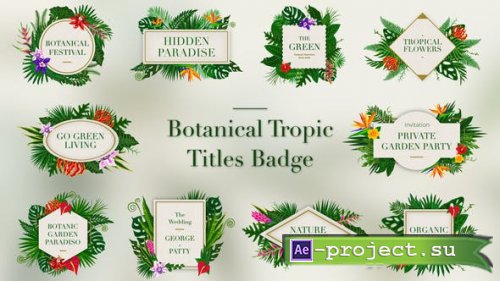 Videohive: Tropical Titles Badge 23389450 - Project for After Effects