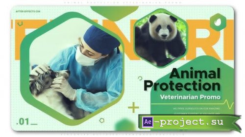 VideoHive: Animal Protection Veterinarian Promo 24939415 - Project for After Effects