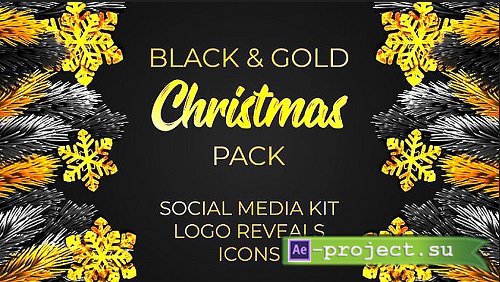 Black and Gold Christmas Pack 322997 - After Effects Templates