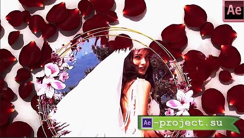 Wedding 324563 - After Effects Templates