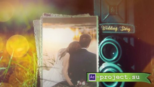 Videohive: Wedding 24310524 - Project for After Effects