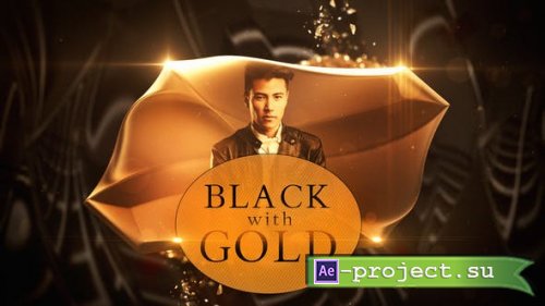 Videohive - Black with Gold - 23144791 - Project for After Effects
