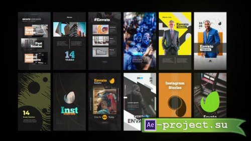 Videohive - 12 Instagram Stories - 25519319 - Project for After Effects