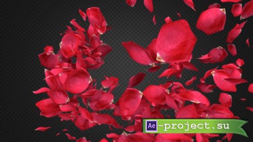 Videohive - Rose Petal Transitions Pack - 21294817 - Motion Graphics