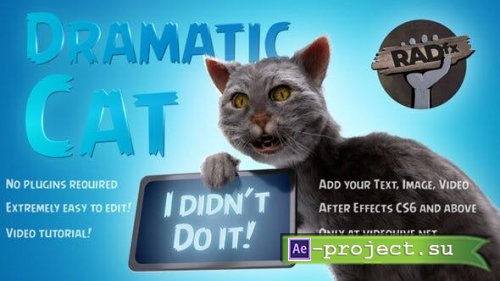 Videohive - Funny Dramatic Cat - 25771871 - Project for After Effects
