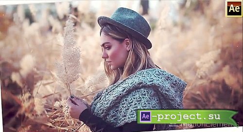 Catchy Frames 14166527 - After Effects Templates