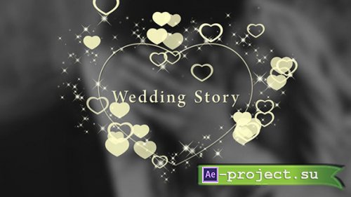 MotionElements - Wedding Titles - 11818495 - Project for After Effects