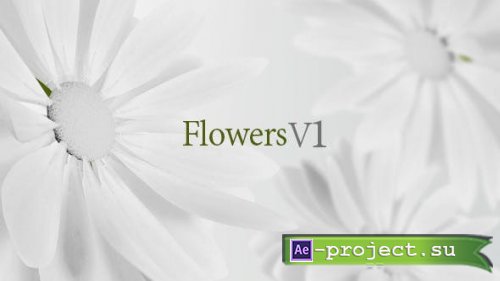 Videohive - Flowers V1 - 13461581 - Project for After Effects