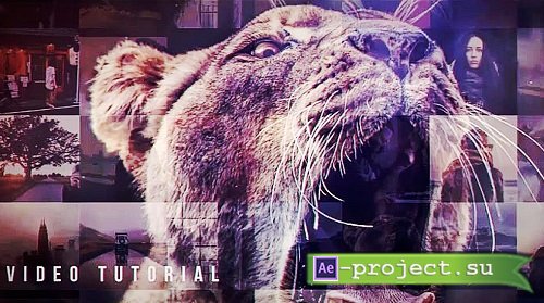 Mosaic Promo 10398160 - Project for After Effects
