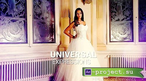 Wedding 11487867 - After Effects Templates