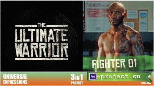 Videohive - Promo Fight - 25762181 - Project for After Effects