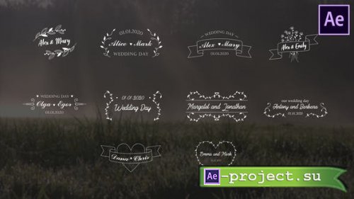 Videohive - Wedding Titles | After Effects - 26464526