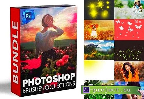 TimeForDeals - 2500+ Professional Adobe Photoshop Brushes