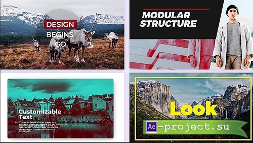 Modern Typography Titles Pack 11554092 - Project for After Effects
