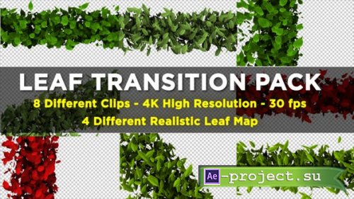 Videohive - Leaf Transition Pack 4K - 23020669 - Project for After Effects