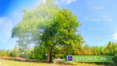 Videohive - Wedding - 26702246 - Project for After Effects