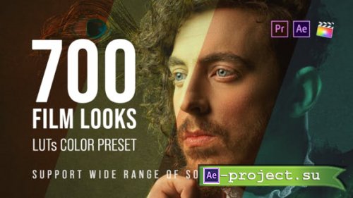 Videohive - 700 Film Looks - LUT Color Preset Pack - 25157078 - Premiere PRO and After Effects
