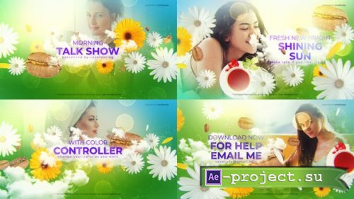 Videohive - Morning Talk Show Opener - 27005382 - Project for After Effects