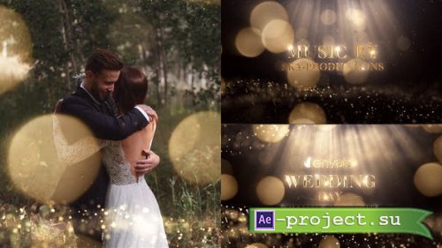 Videohive - Wedding - 22263676 - Project for After Effects