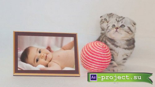  ProShow Producer - Baby Cat