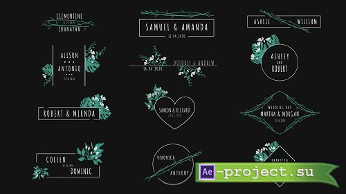 Wedding Titles Pack - Project for After Effects