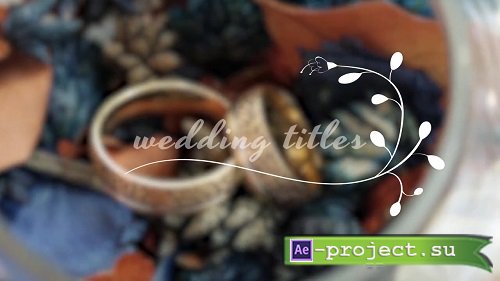 Wedding Titles - Project for After Effects