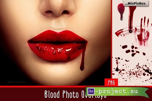 Blood Photo Overlays - 5326599